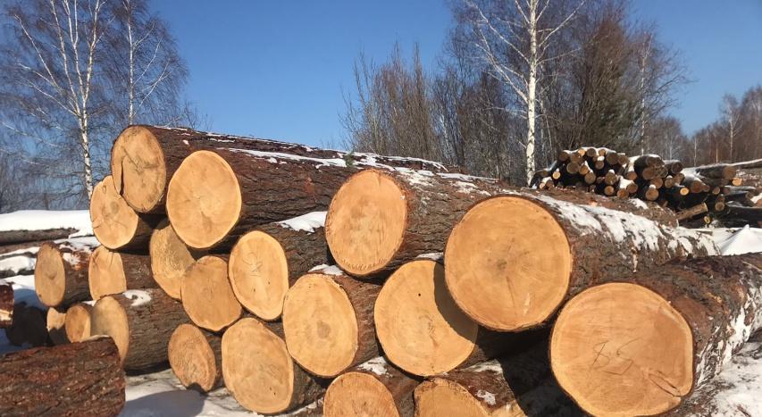 Уникальные дома из бревна большого диаметра