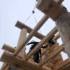 Гостевой дом «Горный Алтай» Гостевой дом «Горный Алтай»